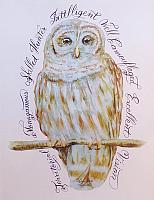 Barred Owl Calligraphy Print