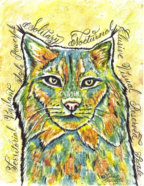Canada Lynx Calligraphy Animal Art Print